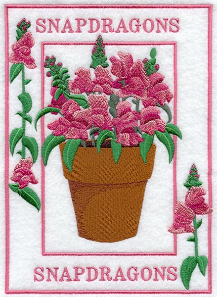 Potted Snapdragons Medley