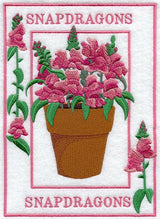 Potted Snapdragons Medley