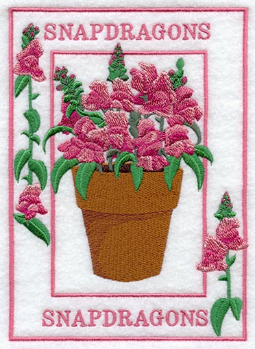 Potted Snapdragons Medley