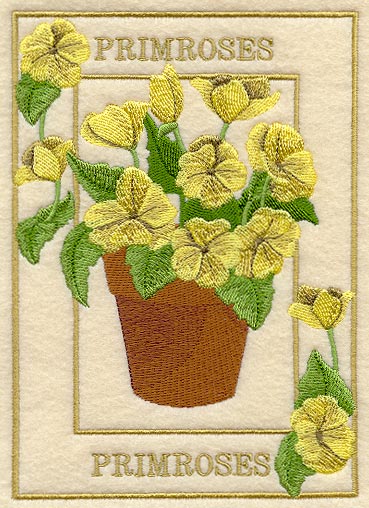 Potted Primroses Medley