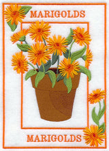 Potted Marigolds Medley