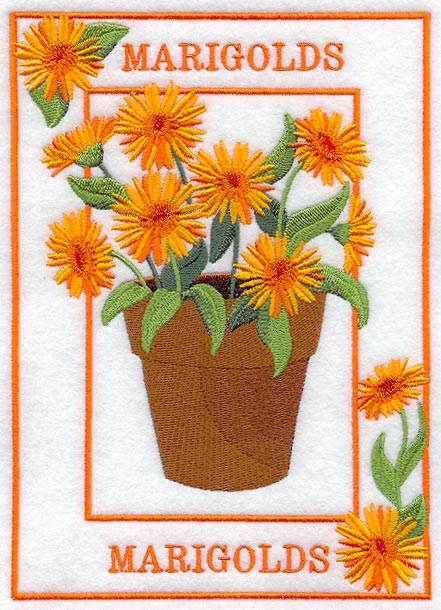 Potted Marigolds Medley