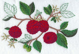 Raspberry Botanical