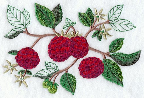 Raspberry Botanical