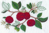 Raspberry Botanical