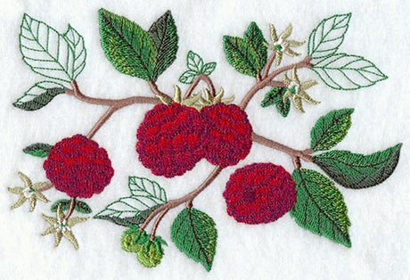 Raspberry Botanical