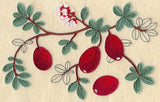 Cranberry Botanical
