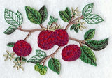 Raspberry Botanical