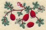 Cranberry Botanical