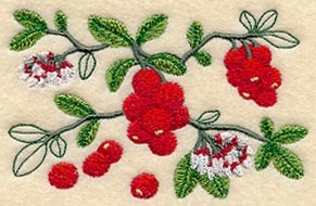 Lingonberry Botanical