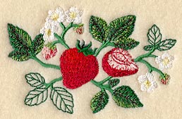 Strawberry Botanical