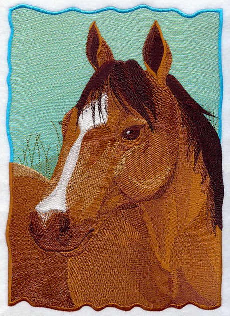 Quarter Horse Portrait