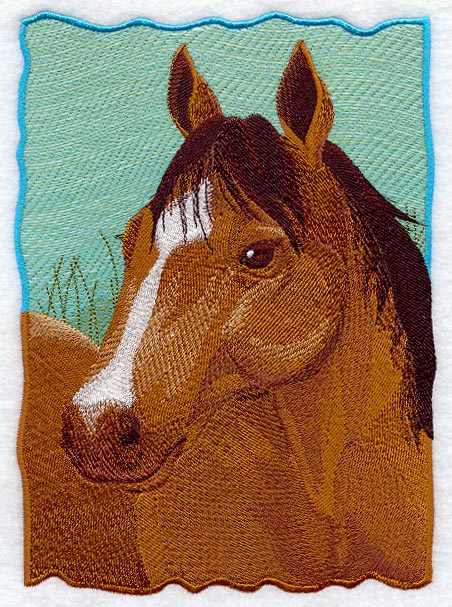 Quarter Horse Portrait