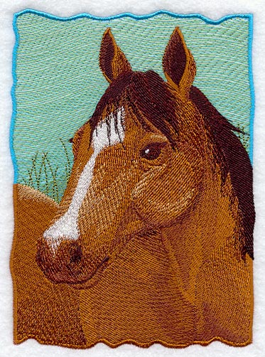 Quarter Horse Portrait