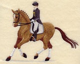 Show Horse