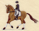 Show Horse