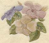 Hibiscus in Watercolor