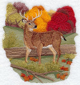 Seasons Whitetail Deer - Autumn