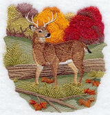 Seasons Whitetail Deer - Autumn