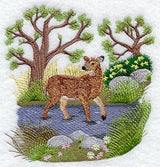 Seasons Whitetail Deer - Spring