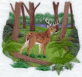 Seasons Whitetail Deer - Summer