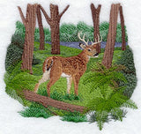Seasons Whitetail Deer - Summer