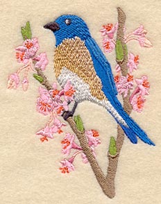 Seasons Bluebird - Spring