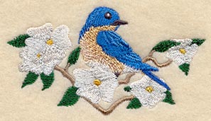 Seasons Bluebird - Summer