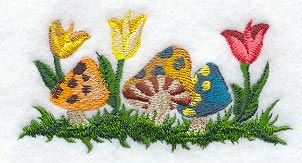 Toadstool Patch
