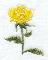 Yellow Rose
