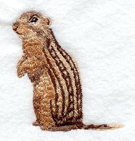 Gopher