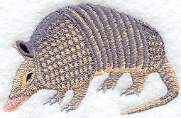 Armadillo