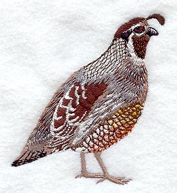 Quail