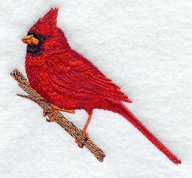 Perching Cardinal