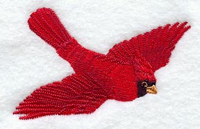 Flying Cardinal