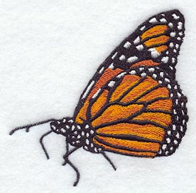 Resting Monarch Butterfly