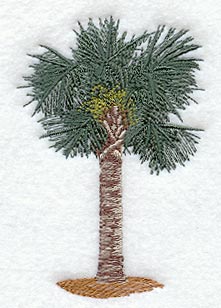 Palmetto Tree