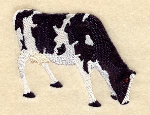 Dairy Cow