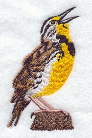 Meadowlark