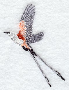 Scissortailed Flycatcher