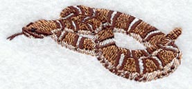 Ridgenose Rattlesnake