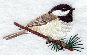 Perching Chickadee