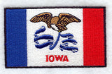 Iowa State Flag