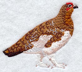 Willow Ptarmigan