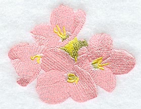 Mayflower (Ground Laurel)