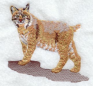 Bobcat