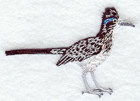Roadrunner