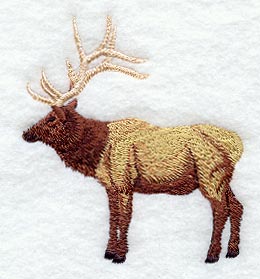 Elk - Full Body