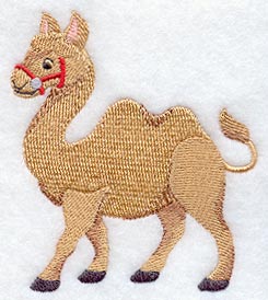 Camel Walking