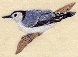 White-Breasted Nuthatch